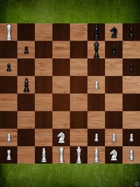 Mr Chess Pro screenshot, image №1747195 - RAWG