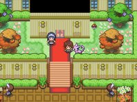 Pokémon Sunset screenshot, image №2266515 - RAWG