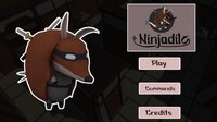 Ninjadilo screenshot, image №3797955 - RAWG