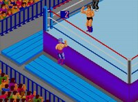 Fire Pro Wrestling Combination Tag screenshot, image №3943748 - RAWG