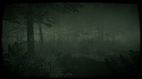 The Children of The Woods - Lost Tape screenshot, image №4022530 - RAWG