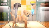 Playstation Vita Pets screenshot, image №2022559 - RAWG