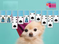 ⋆Spider Solitaire+ screenshot, image №897588 - RAWG