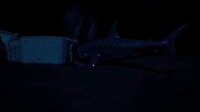 Abyssal Trench screenshot, image №4195200 - RAWG