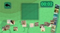 Ultimate Puzzles Dinosaurs screenshot, image №3447099 - RAWG