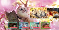 Cat's Life Jigsaw Puzzles (itch) screenshot, image №3642115 - RAWG