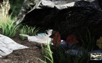 Empty Nest (GGJ '18) screenshot, image №1819762 - RAWG