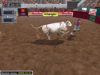Professional Bull Rider 2 screenshot, image №301895 - RAWG