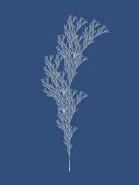 A Dead Tree - A Casual Virtual Pet Game screenshot, image №3271123 - RAWG