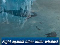 Killer Whale: Orca Simulator 3D Free screenshot, image №1333154 - RAWG