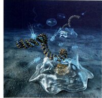 To The Bottom of the Sea screenshot, image №2558523 - RAWG