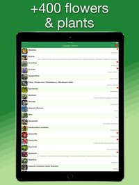 Language of Nature screenshot, image №1996474 - RAWG