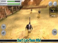 Ostrich Racing 3D Simulator screenshot, image №1944841 - RAWG