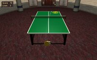 Table Tennis Pro screenshot, image №2740021 - RAWG
