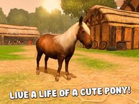 Pony Horse Riding 3D screenshot, image №1333185 - RAWG