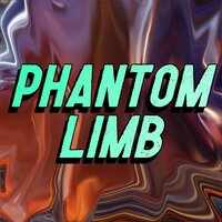 Phantom Limb (TechyDylan) screenshot, image №3611806 - RAWG
