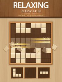 Wood Block Puzzle Game screenshot, image №2037028 - RAWG