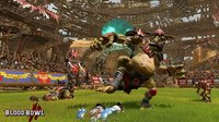 Blood Bowl 2 screenshot, image №75033 - RAWG