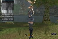 Lineage 2: The Chaotic Chronicle screenshot, image №359694 - RAWG