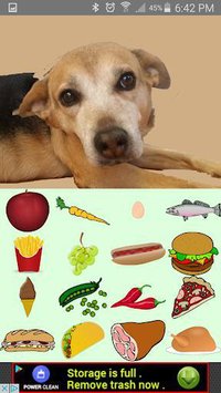 Feed the Cute Dog screenshot, image №1589684 - RAWG