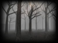 Slender Rising screenshot, image №908914 - RAWG