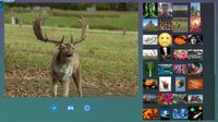 Slide Puzzle screenshot, image №4131364 - RAWG
