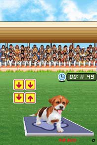 Me And My Dogs: Friends Forever screenshot, image №253872 - RAWG