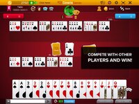 Canasta Hand And Foot screenshot, image №2681468 - RAWG
