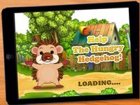 Bouncing Hedgehog! - Help The Launch Tiny Baby Hedgehog To Catch His Food! screenshot, image №1980927 - RAWG