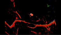 At the Dead of Night screenshot, image №3510935 - RAWG