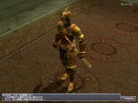 Final Fantasy XI: Treasures of Aht Urhgan screenshot, image №444084 - RAWG