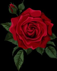 I bring you a rose screenshot, image №3795288 - RAWG