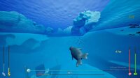 Seal Adventure screenshot, image №2618697 - RAWG