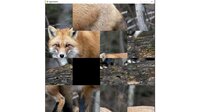 hgmGame-fox screenshot, image №4200493 - RAWG