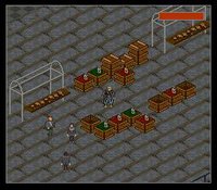 Shadowrun (1996) screenshot, image №762558 - RAWG