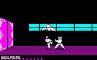 Karateka (1985) screenshot, image №296443 - RAWG