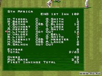 Cricket '96 screenshot, image №304648 - RAWG
