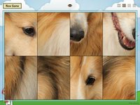 Animal Slide Image Puzzle screenshot, image №951616 - RAWG