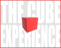 The Cube Experience screenshot, image №2333173 - RAWG