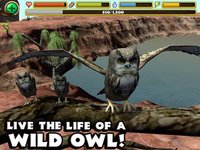 Owl Simulator screenshot, image №955269 - RAWG