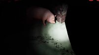 MEat (anOVERTHINKER) screenshot, image №2565135 - RAWG