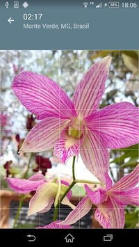 Jigsaw Puzzle: Flowers screenshot, image №1497468 - RAWG