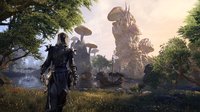 The Elder Scrolls Online: Collection - Prepurchase screenshot, image №778598 - RAWG