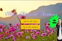 Shady Bluebird Meadows: Slim Edition screenshot, image №3773387 - RAWG
