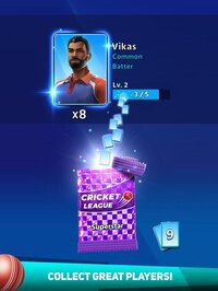 Cricket League screenshot, image №3077333 - RAWG