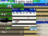 Agility Dogs screenshot, image №1802043 - RAWG