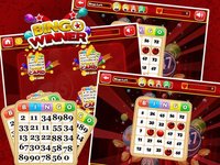 Bingo Big Fish - Bingo Tournaments & More screenshot, image №947817 - RAWG