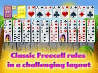 Forty Thieves Solitaire Gold screenshot, image №1762233 - RAWG