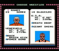 Tecmo World Wrestling screenshot, image №738197 - RAWG