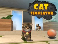 Cat Condo - release date, videos, screenshots, reviews on RAWG